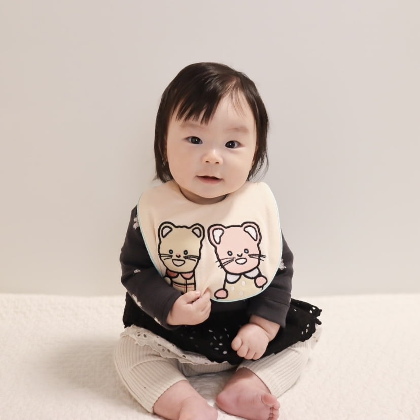 シナぷしゅ×DADWAY 使ってみたよ　一緒に遊べるからもっと楽しい！