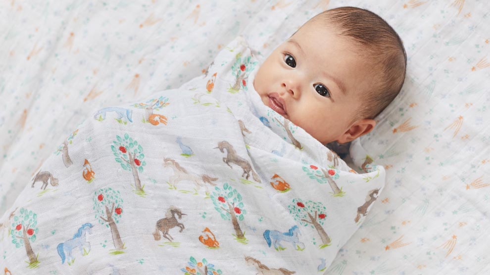 aden + anais おくるみスワドル