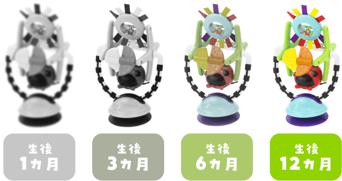 生後1カ月から12カ月までの色の見え方