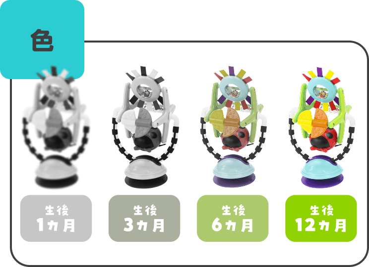 生後1カ月から12カ月までの色の見え方