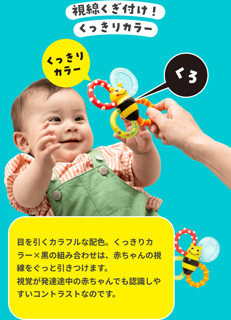 視線くぎ付けのくっきりカラーのカミカミみつばち