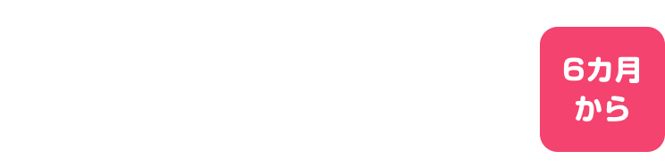 コロコロおいかけっこ ハイハイ ビーズローラー 6カ月から