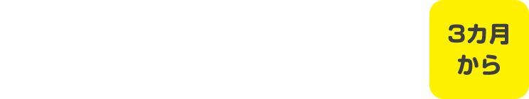 Sassyの定番といえば カミカミみつばち 3カ月から