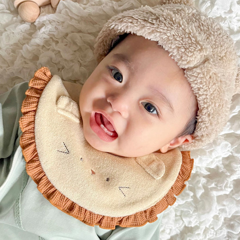 アニマルスタイ/F/ライオン ライオン