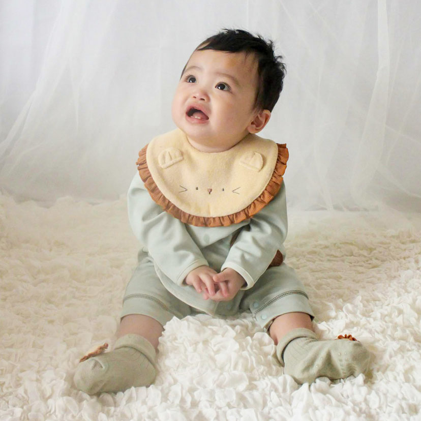 アニマルスタイ/F/ライオン ライオン