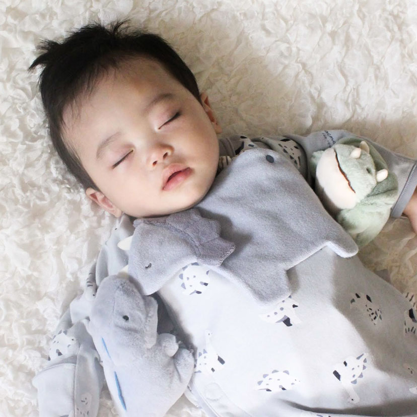 恐竜スタイ/F/ネイビーブルー ネイビーブルー