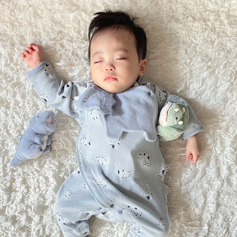 恐竜スタイ/F/ネイビーブルー ネイビーブルー