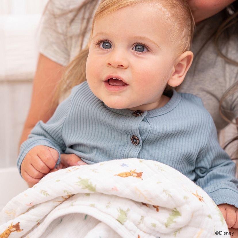 ブランケット/ディズニー+フレンズ(バンビ・ダンボ) ディズニー＋フレンズ