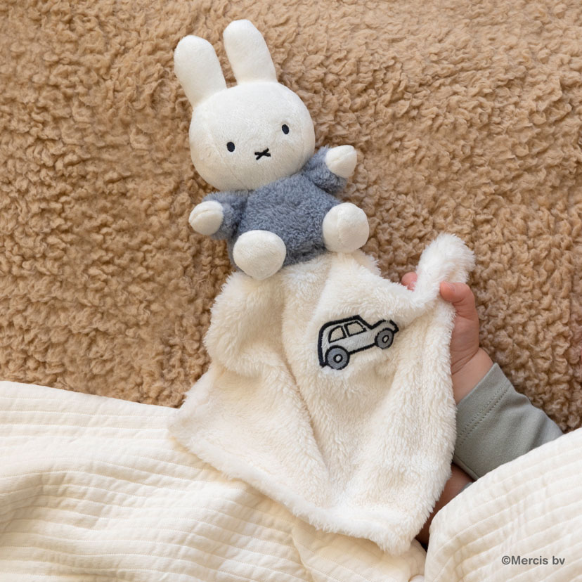 miffyミッフィーがいっぱいセット/ブルー(ブルー): おもちゃ[DADWAY