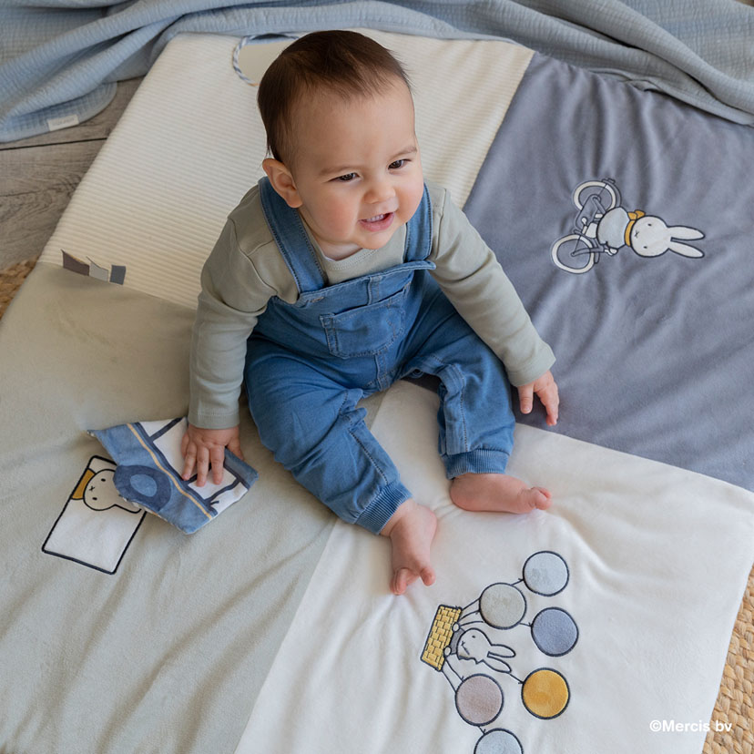 miffyミッフィーがいっぱいセット/ブルー ブルー