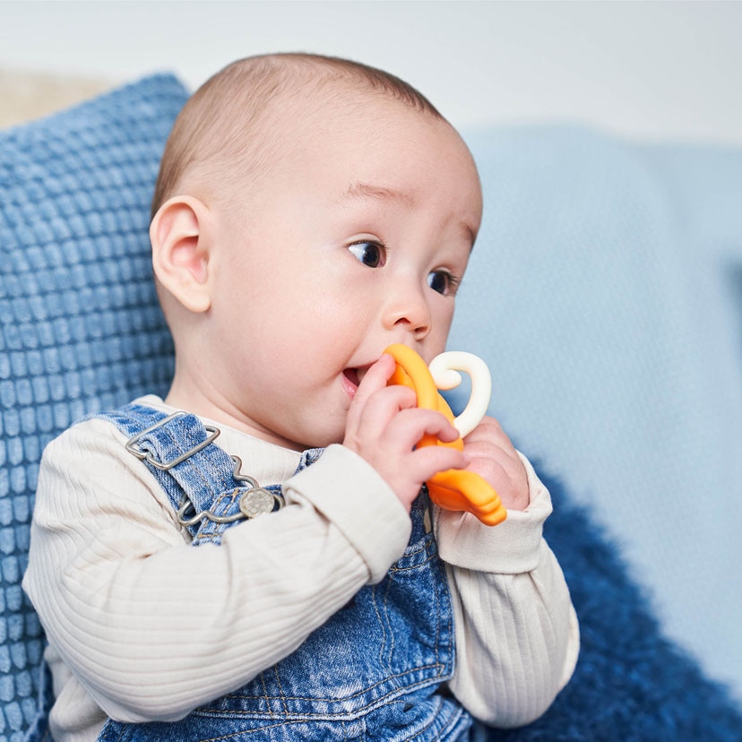 モンキーバイツ/オレンジ オレンジ