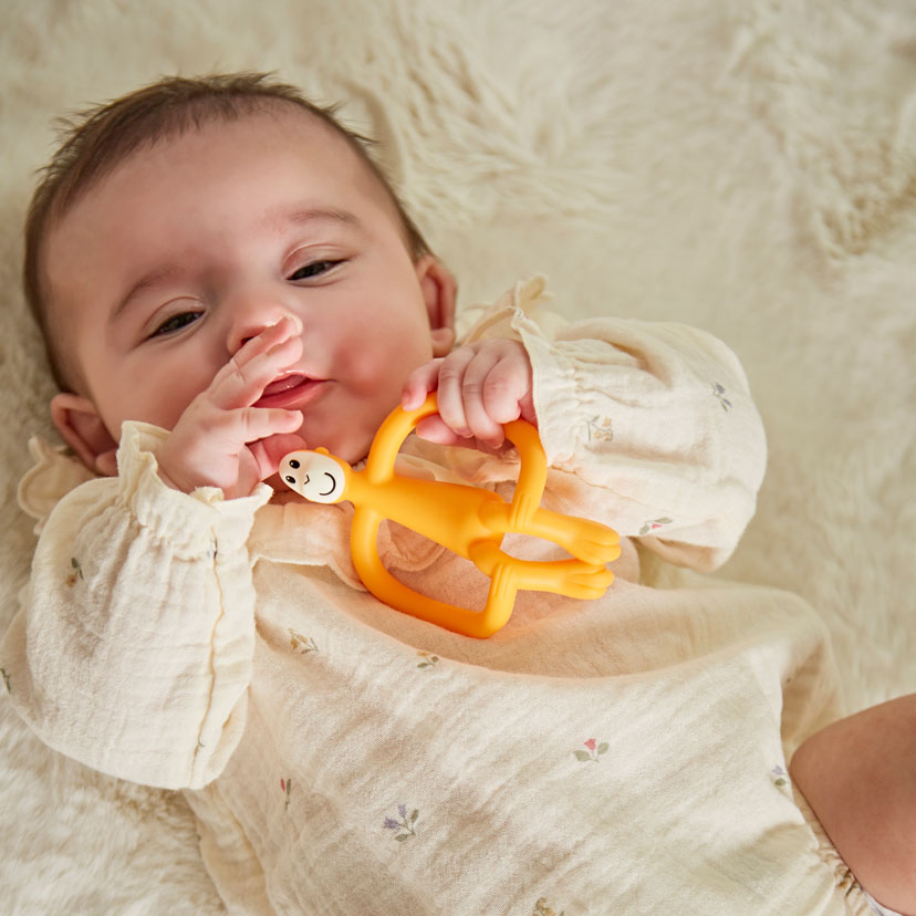 モンキーバイツ/オレンジ オレンジ